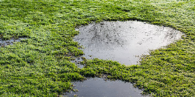水はけが悪い庭で起こるトラブル