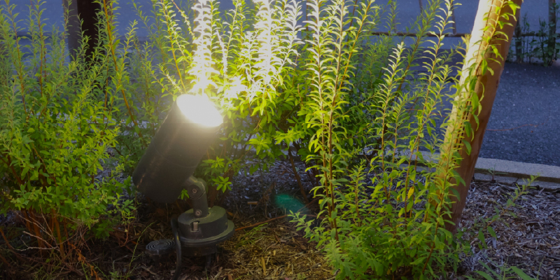 素材が際立つライティング効果