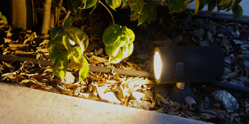 植栽を活かしたナイトガーデンデザイン