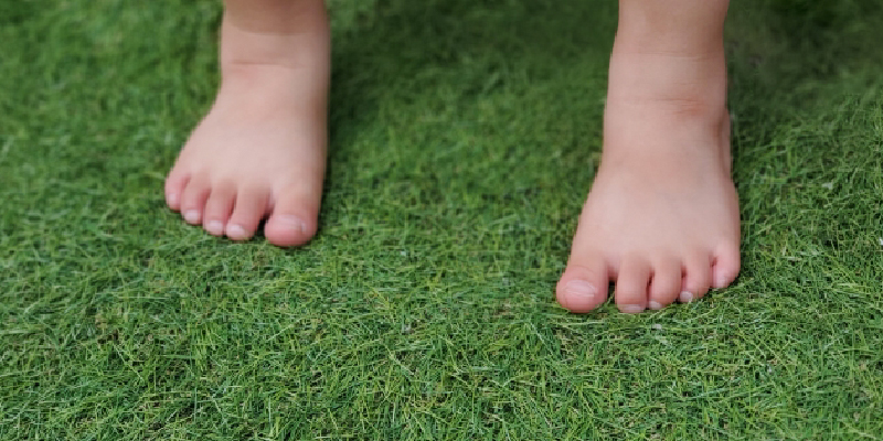 子どもとペットの行動特性を踏まえた囲い設計