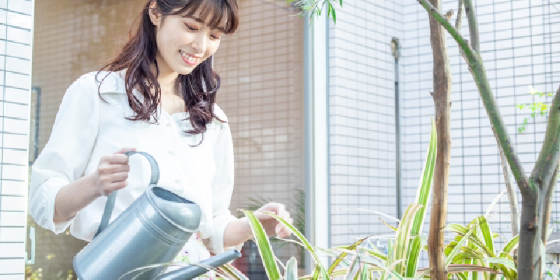初心者でも安心のメンテナンス方法