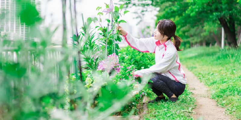 管理がしやすく長く楽しめる庭づくり