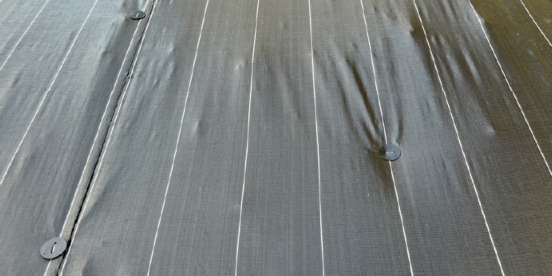 防草シート・砂利・固まる土のベストプラクティス