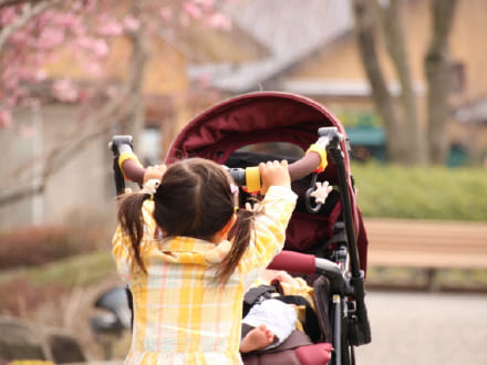 車椅子・歩行器・ベビーカー利用時の障壁