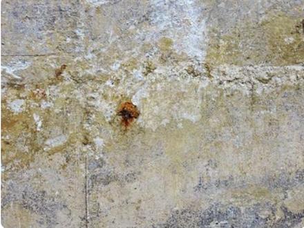 塀や床面に白い粉（エフロレッセンス）が見られる