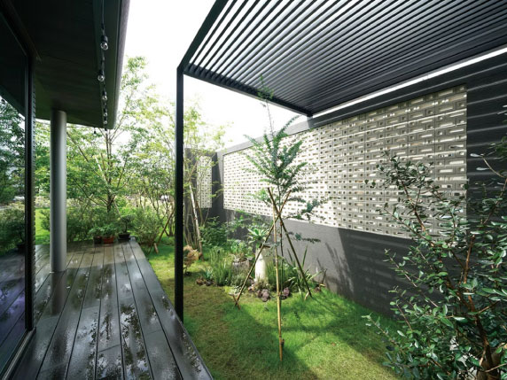 植え付け後の水やり・支柱設置など初期対応