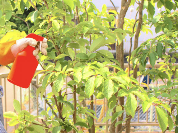 病害虫対策と育成不良時の対応