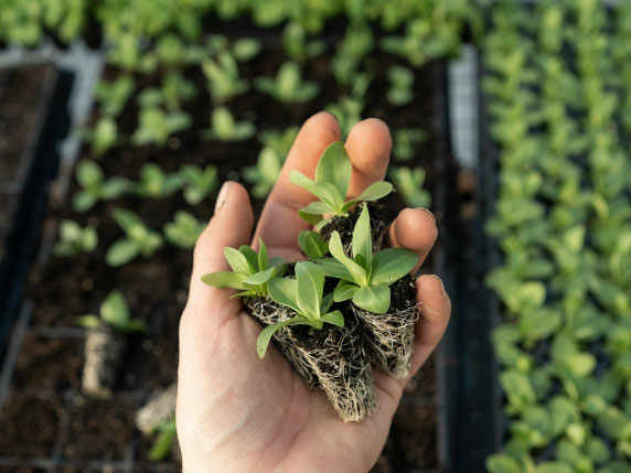 自社施工ならではの丁寧な対応と柔軟性