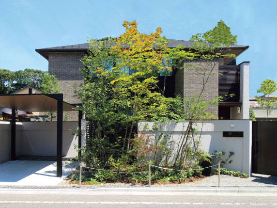 植栽（シンボルツリー・低木・グランドカバー）