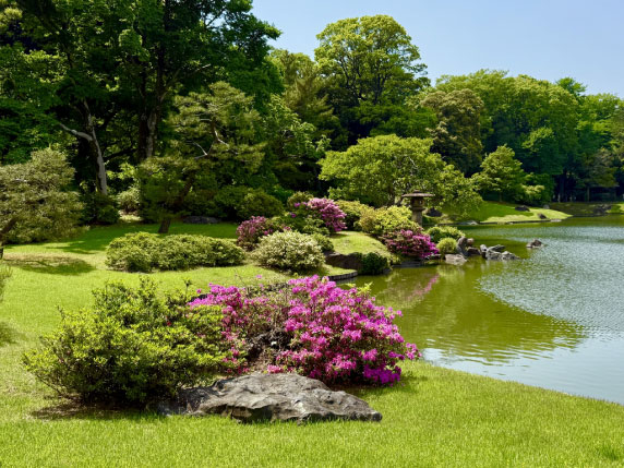 庭石・灯籠・蹲（つくばい）など和風造園要素
