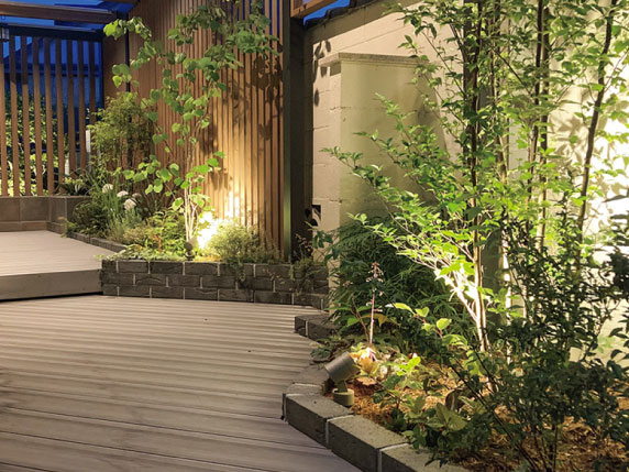 植栽と照明の組み合わせによる演出