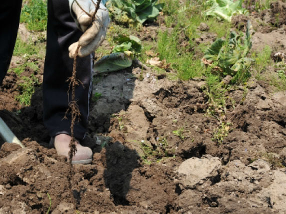 透水性や勾配の調整