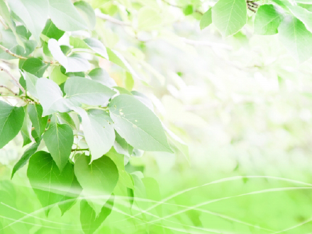 環境性能のイメージ