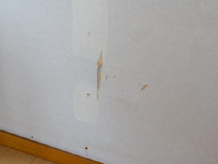 経年劣化や汚れの解消