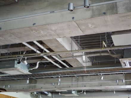 業種に応じた法令・許認可の確認