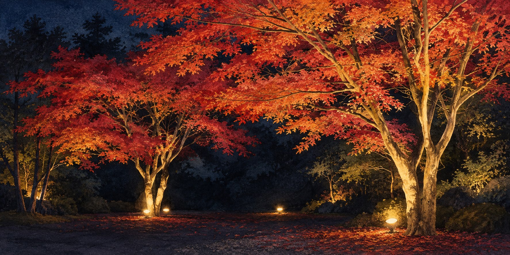 下からのスポット照明で紅葉した樹木の枝葉を照らす庭