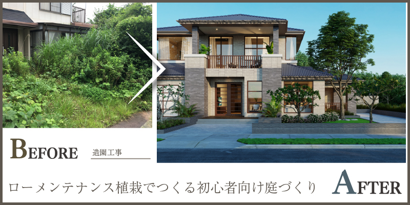 ローメンテナンス植栽でつくる初心者向け庭づくり提案