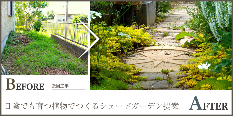 日陰でも育つ植物でつくるシェードガーデン提案